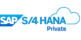 SAP S/4 HANA Private