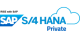 SAP S/4 HANA Private