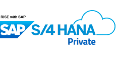 SAP S/4 HANA Private