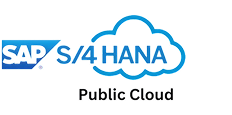 SAP S/4HANA Public Cloud